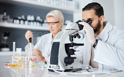 Buy stock photo Science, collaboration and innovation with a medicine team working in a laboratory for research or development. Doctor, teamwork or medical with a man and woman scientist at work in a pathology lab