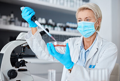Buy stock photo Woman, doctor and pipette in experiment with mask or gloves for safety, sample or testing in scientific research at lab. Female scientist or medical expert working with chemical in science laboratory