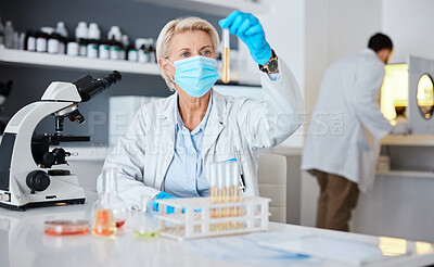 Buy stock photo Senior woman, scientist and test tube with pharmaceutical research in a laboratory. University lab, chemistry study and focus of a clinic employee checking chemical results for healthcare innovation