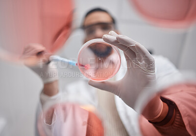 Buy stock photo Scientist, petri dish and pharma test worker man working on science research in a laboratory. Medical container, study and analytics of a pharmaceutical solution of a lab with hospital data