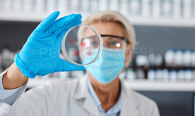 Buy stock photo Scientist with petri dish in hand and analysis of sample science study in lab, medical research and senior woman in face mask. Scientific innovation, biotechnology or pharmacy with glove for safety