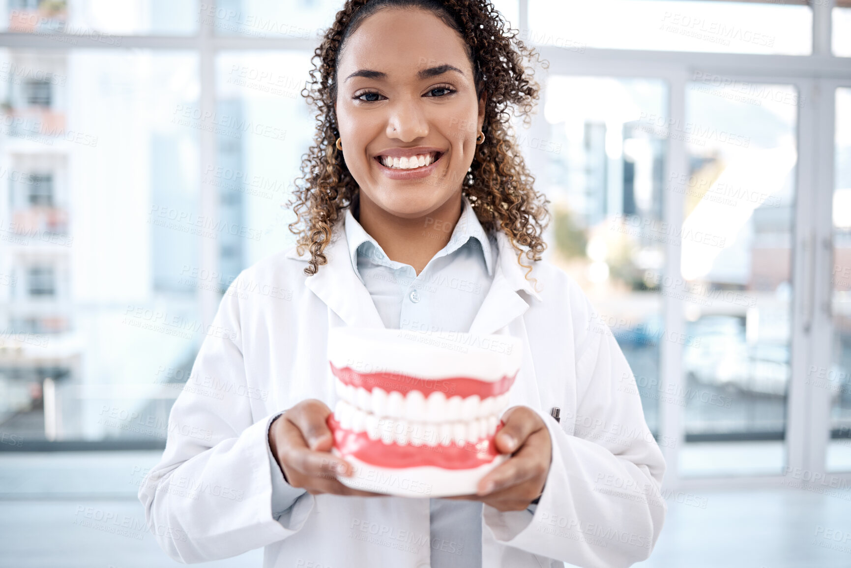 Buy stock photo Teeth model, healthcare and portrait of dentist for dental wellness, tooth whitening and oral care. Dentistry, medical clinic and orthodontist smile with mold for mouth hygiene, surgery and braces