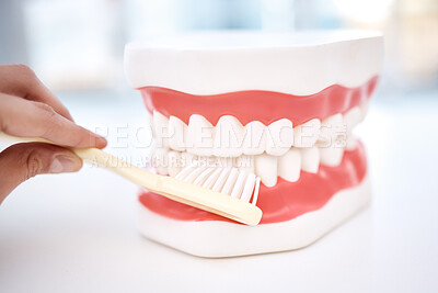 Buy stock photo Dental, teeth model and orthodontics, toothbrush in hand and cleaning mouth, healthcare closeup and oral hygiene. Veneers, dentistry and healthy gums with fresh breath, medical and tooth care