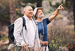 Hiking, looking and mature men in nature for travel, walking and on a backpack adventure in Norway. Search, view and elderly friends doing bird watching and pointing at environment in the mountains