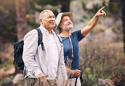 Buy stock photo Hiking, looking and mature men in nature for travel, walking and on a backpack adventure in Norway. Search, view and elderly friends doing bird watching and pointing at environment in the mountains