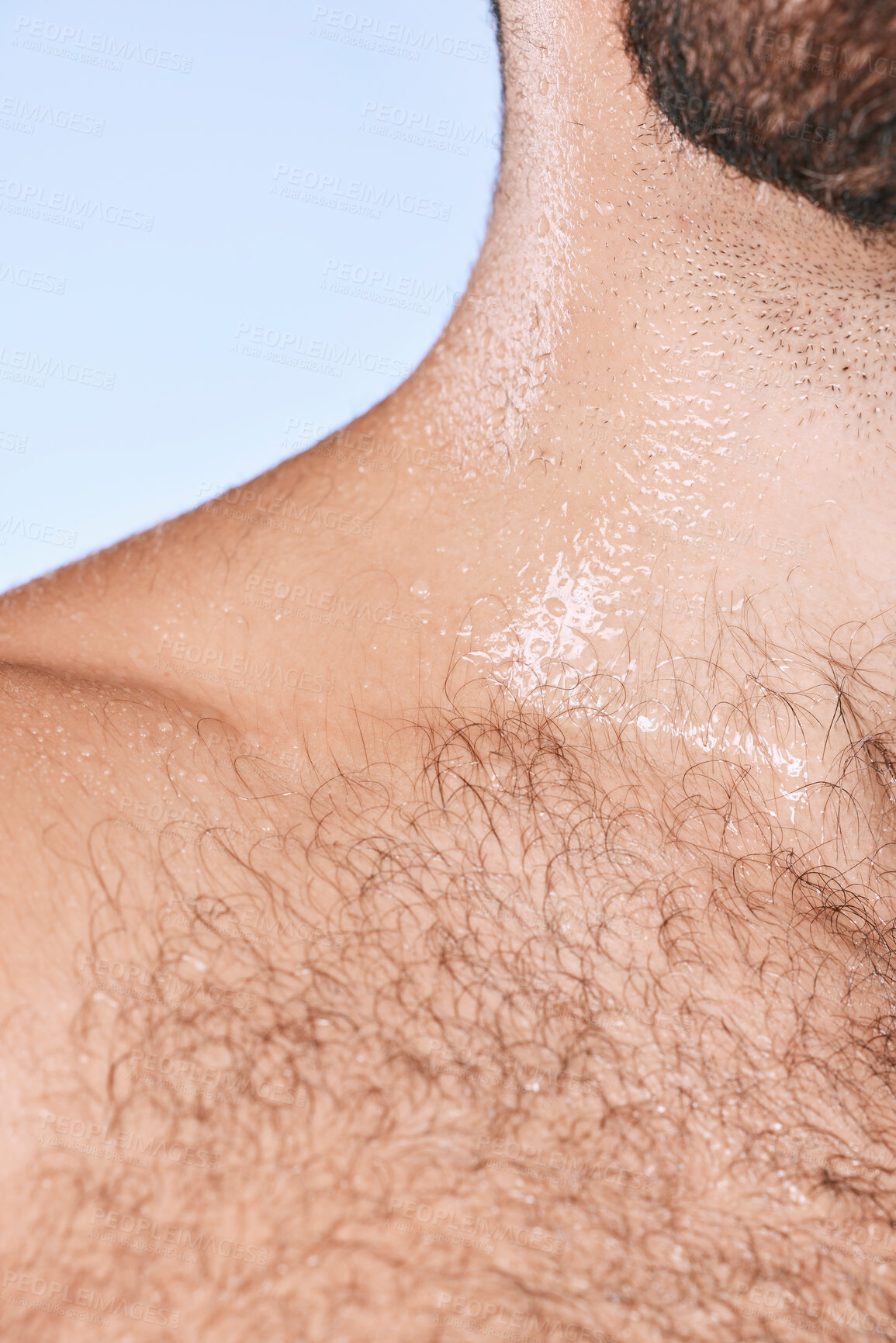 Buy stock photo Water drops, wet torso and closeup man in shower for cleaning, care and wellness on background. Beauty, human body and hairy chest in studio for washing, grooming and hygiene cosmetics for skincare 