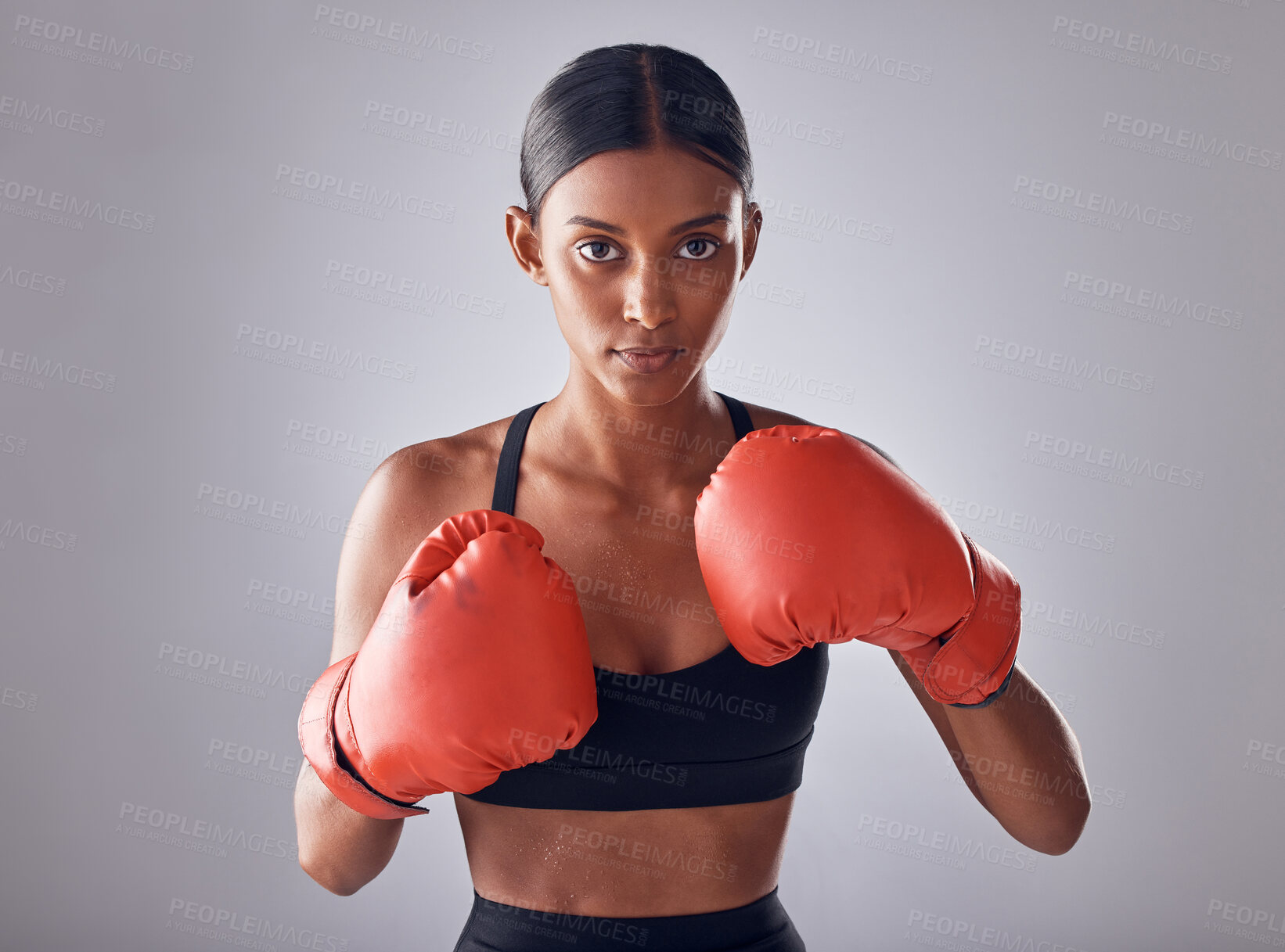 Buy stock photo Boxing, fitness and portrait of woman in studio for sports exercise, strong muscle or mma training. Indian female, boxer champion and gloves for impact, energy and warrior power in battle challenge