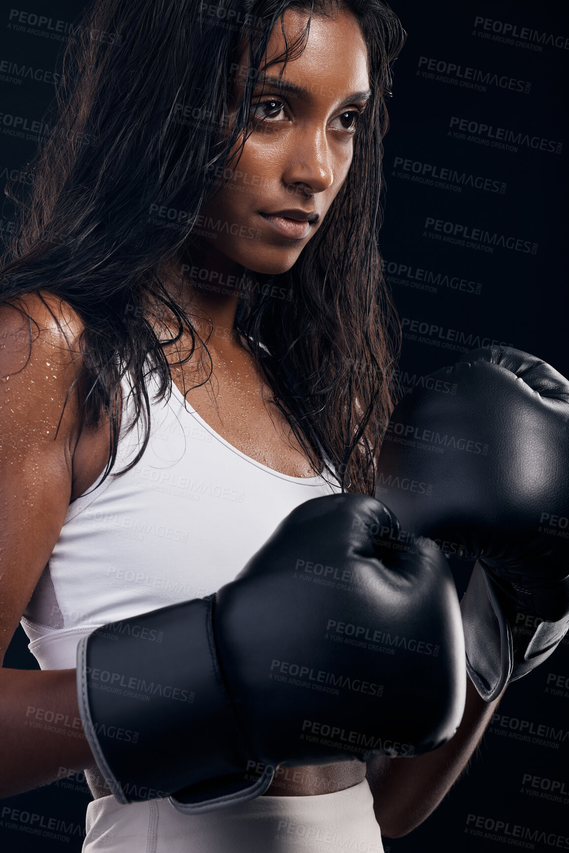 Buy stock photo Boxing, gloves and mindset with a sports woman getting ready in studio on a black background for fitness. Exercise, health and training with a female athlete or boxer sweating during a combat workout