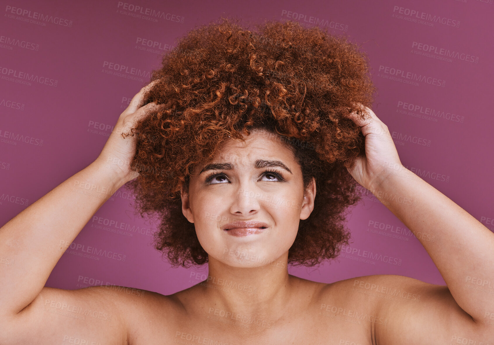 Buy stock photo Model stress, hair loss or afro on beauty studio background in grooming, texture anxiety or fail. Woman, hand or natural hairstyle with damage, split ends or frizzy knot on isolated skincare backdrop