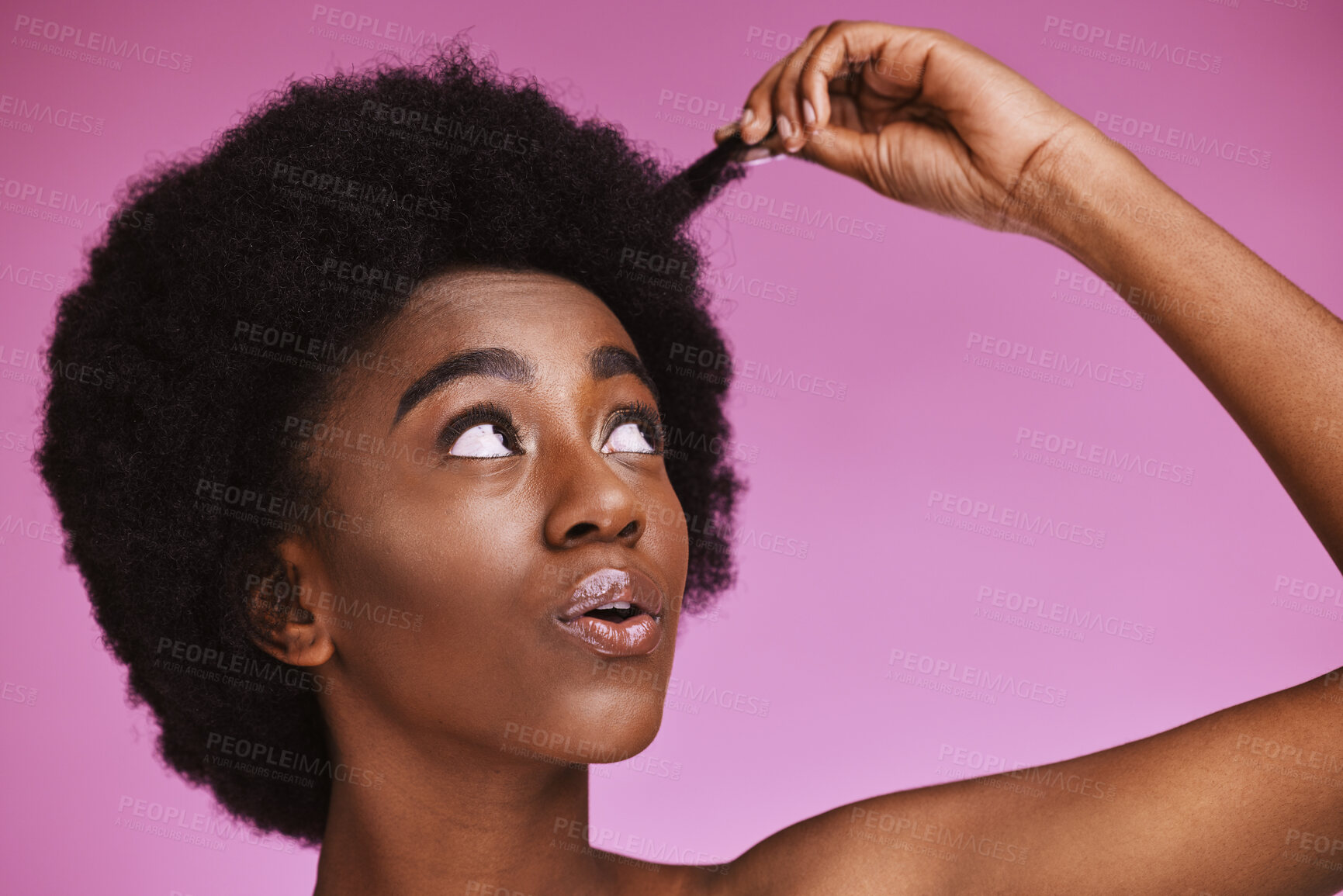 Buy stock photo Natural, afro and hair with black woman in studio for beauty, wellness and grooming on purple background. Haircare, hairstyle and face of girl model relax in luxury, hygiene or routine while isolated