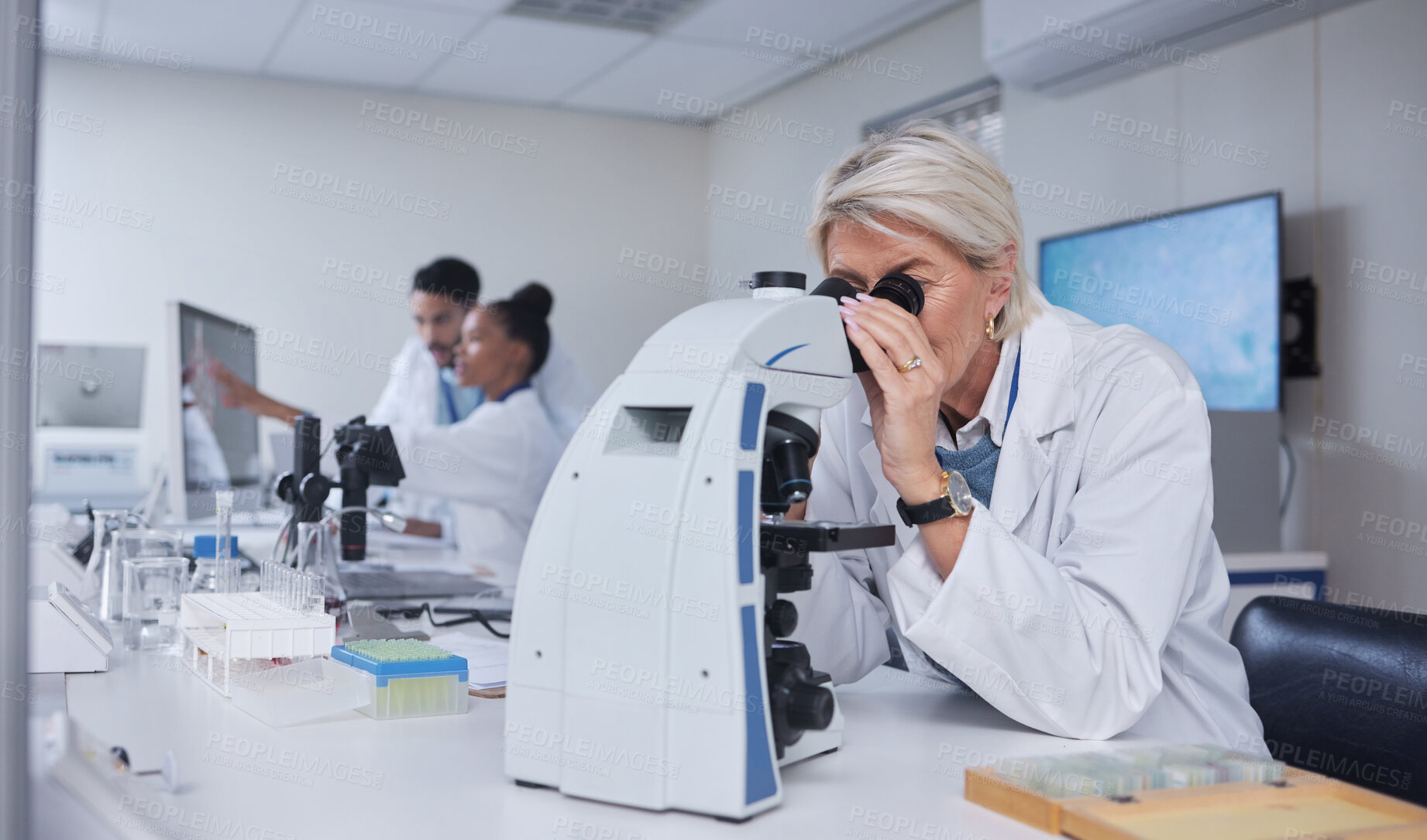 Buy stock photo Senior woman, microscope and scientist in laboratory for research, experiment or innovation. Science, biotechnology and elderly female doctor with medical equipment for sample analysis or testing.