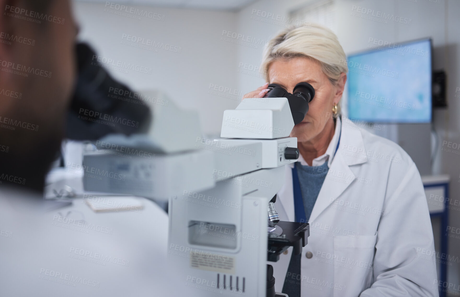 Buy stock photo Mature woman, science or laboratory microscope in medical research, future dna engineering or bacteria analytics. People, scientist or teamwork collaboration on equipment for healthcare pharmacy test