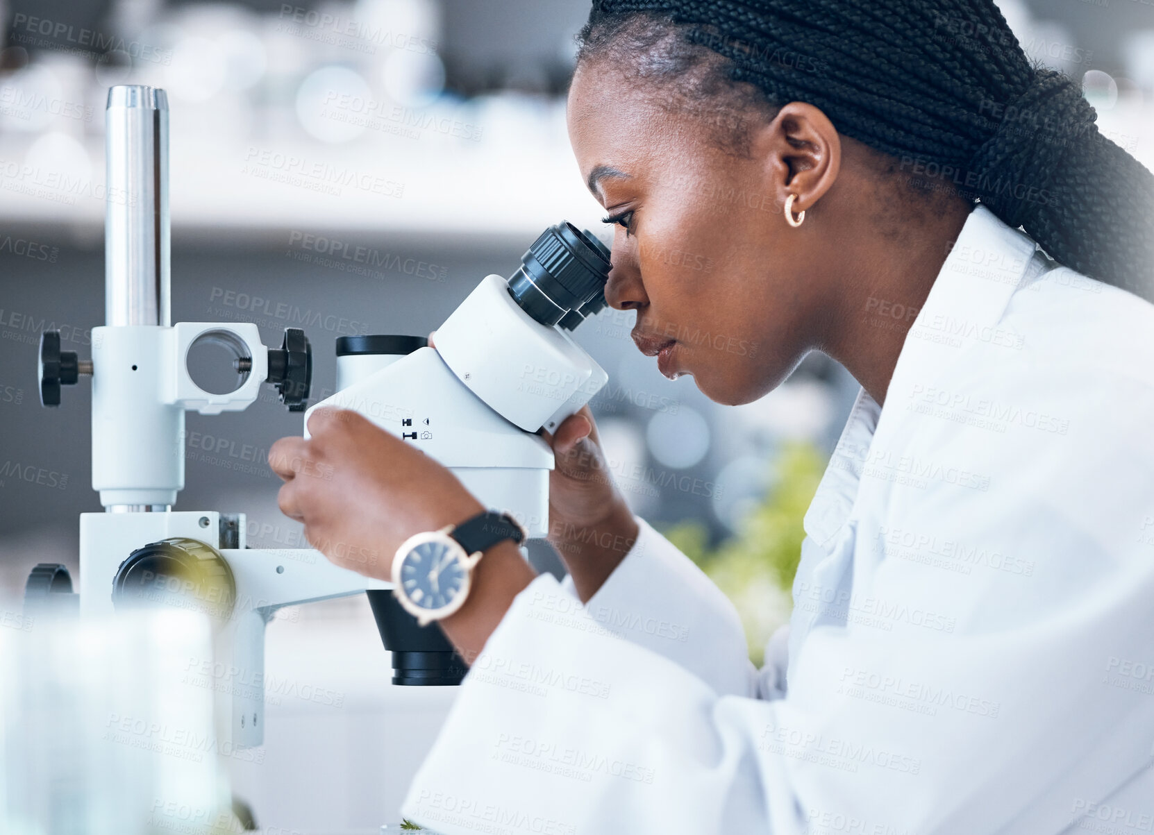 Buy stock photo Microscope, black woman and medical science in laboratory for research, analytics and medicine. Woman, doctor and scientist study at work for an investigation, healthcare and futuristic or innovation