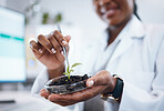 Black woman, science and laboratory plants in Petri dish for agriculture study, sustainability research and food security. Growth soil, eco friendly test and scientist or professional person hands