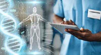 Buy stock photo Hands, tablet and doctor with body hologram, overlay and dna research for medical innovation on app. Medic man, nurse and mobile touchscreen for typing on anatomy study or 3d holographic ux in clinic