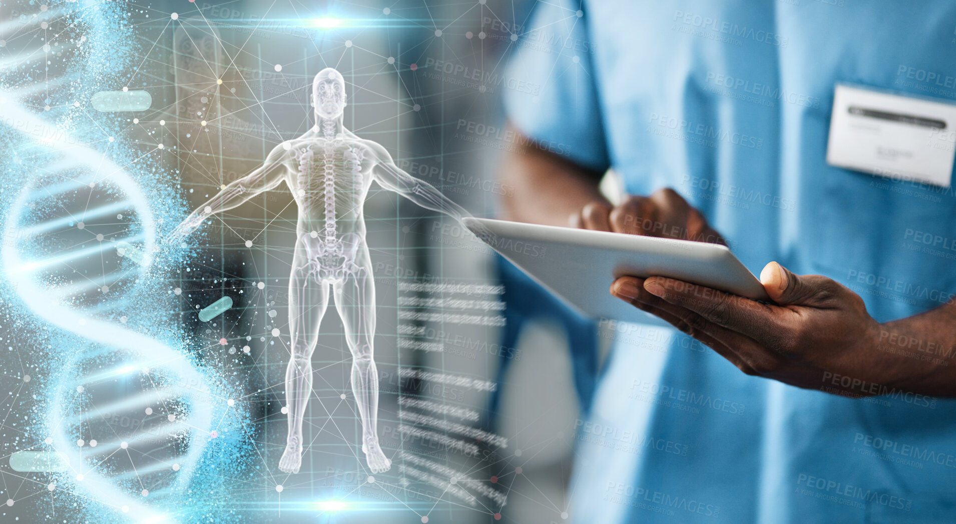 Buy stock photo Hands, tablet and doctor with body hologram, overlay and dna research for medical innovation on app. Medic man, nurse and mobile touchscreen for typing on anatomy study or 3d holographic ux in clinic