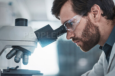 Buy stock photo Biotechnology, microscope and focus of scientist checking research data from particles study. Chemistry lab, studying and man working on medical and healthcare innovation with health analytics 