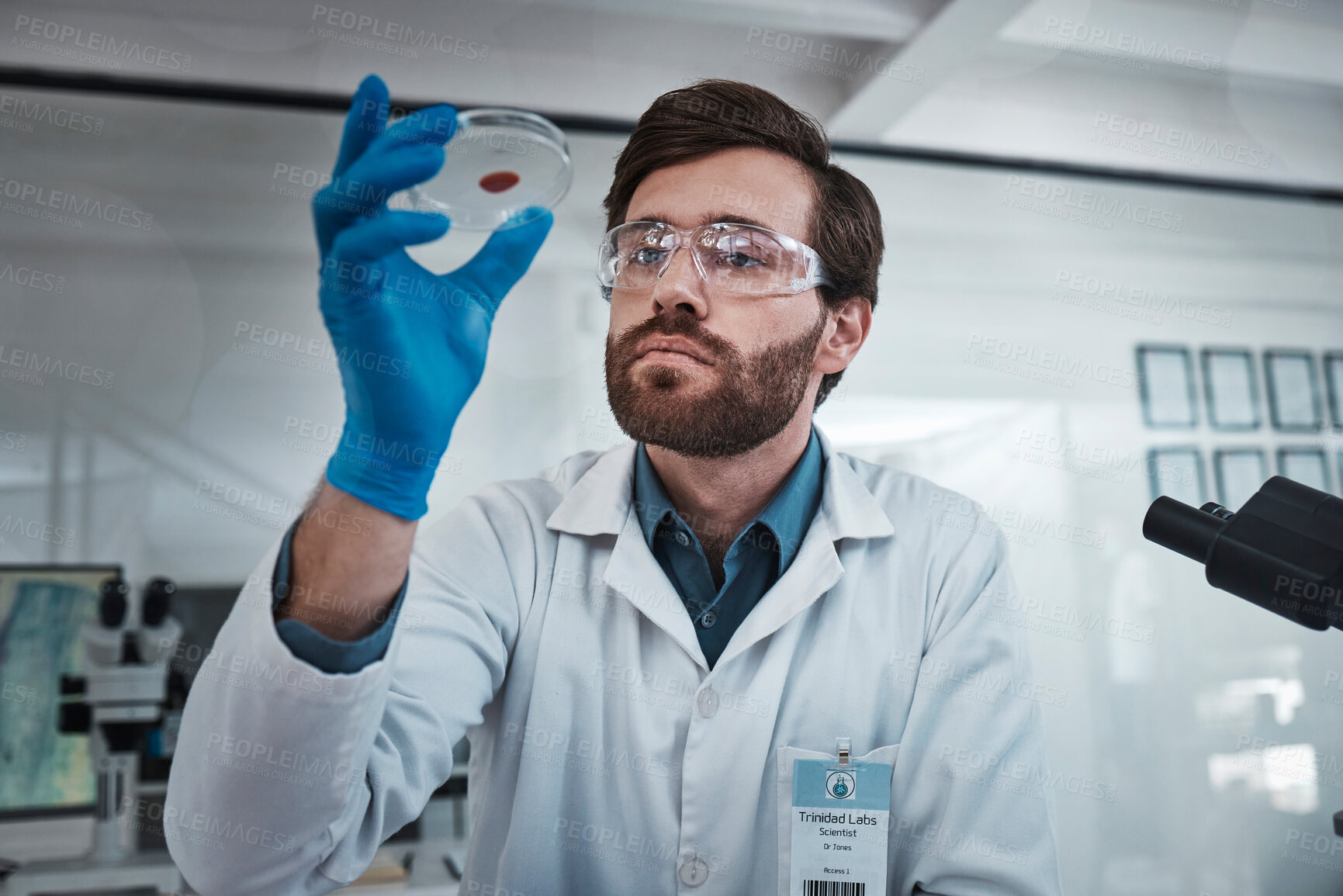 Buy stock photo Science, blood and sample with a doctor man at work in a laboratory for analysis or research. Medical, innovation and dna with a male scientist working in a lab for development or breakthrough