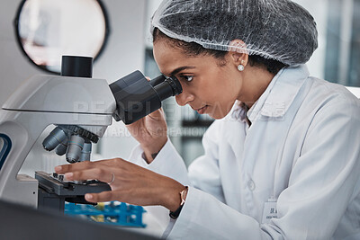 Buy stock photo Scientist, black woman and microscope, analysis of data and science innovation, microbiology or biotechnology in lab. Work, scientific study and researcher, doctor and test with medical research