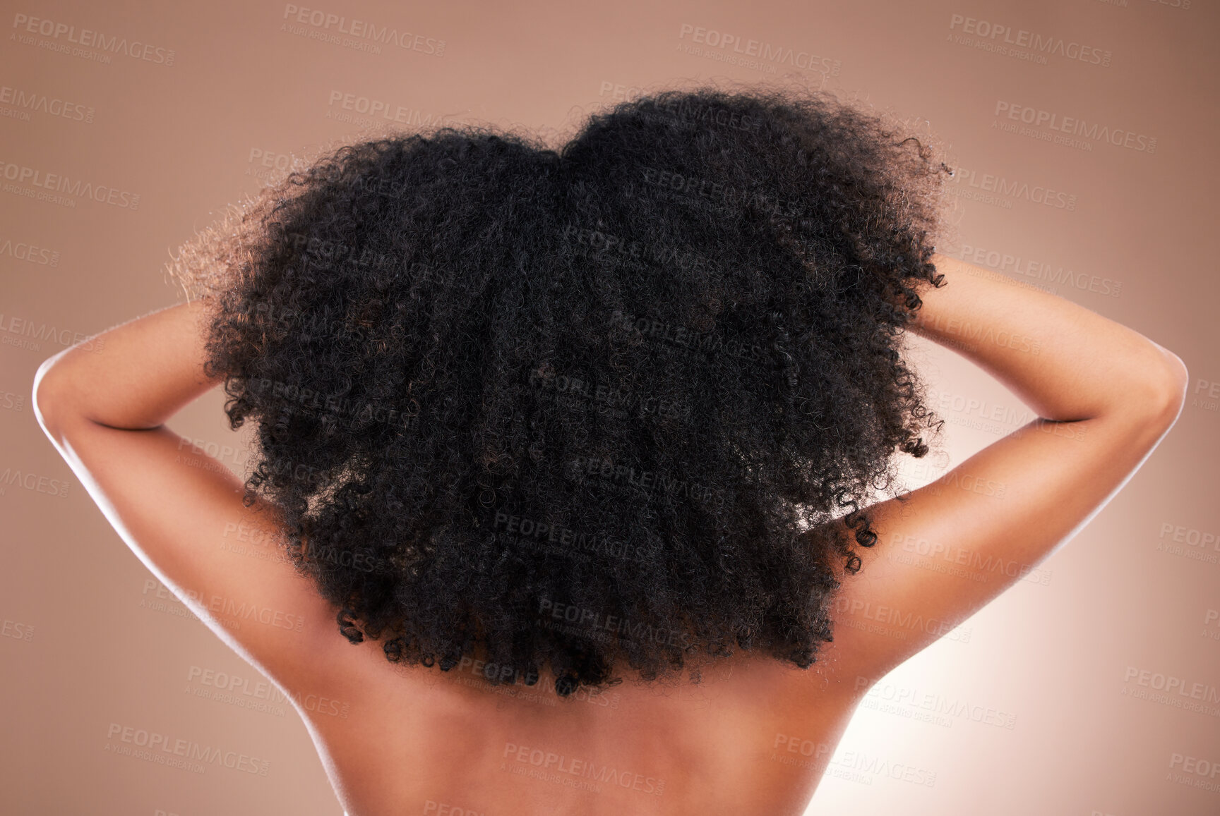 Buy stock photo Hair, black woman with afro and beauty, haircare and natural cosmetics, back on studio background. Female, cosmetic treatment with curly hairstyle, rear view and texture, person arms with grooming