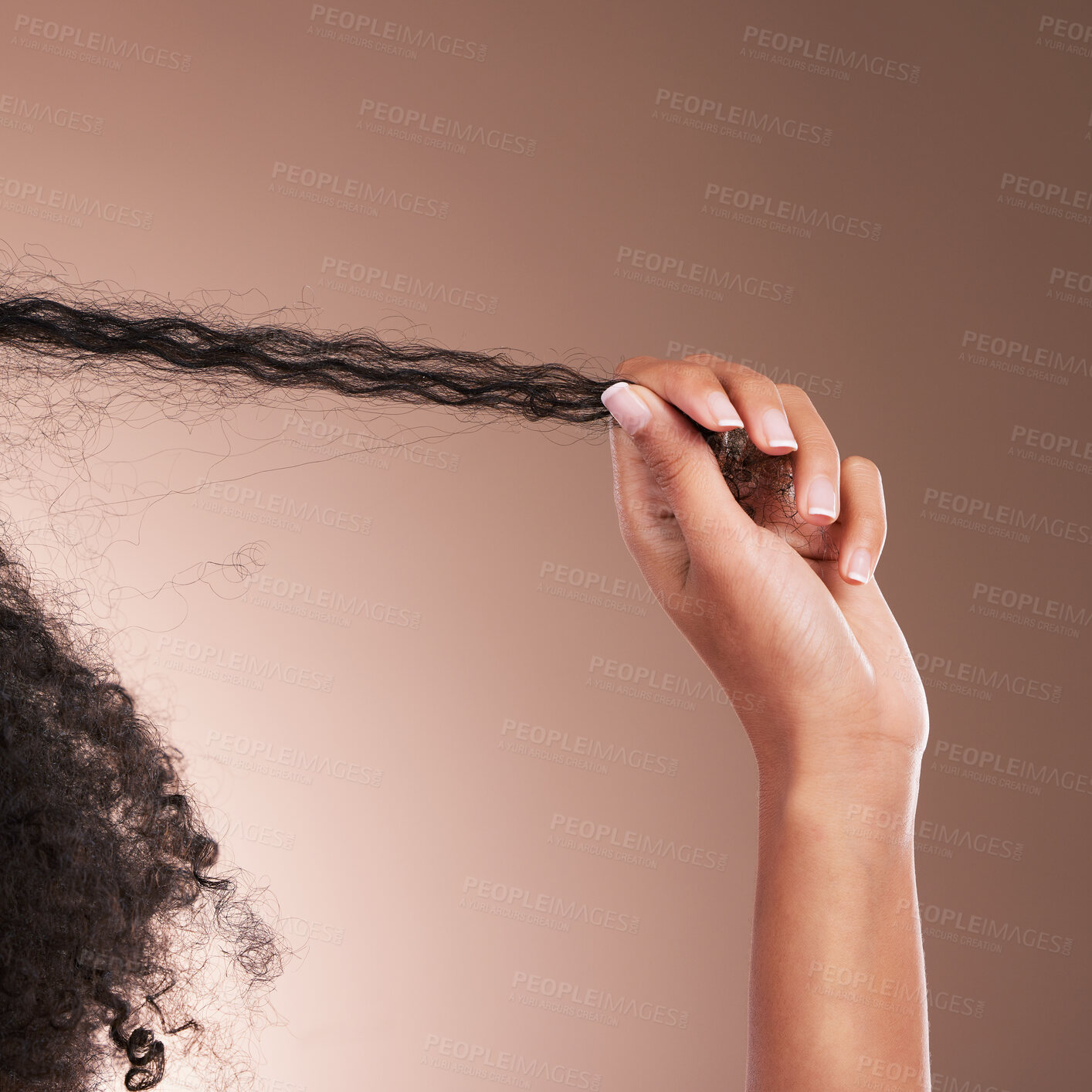 Buy stock photo Hair in hands, afro beauty and black woman on brown background for wellness, shine and natural glow. Salon, luxury treatment and hand with strand for growth with curly hairstyle, texture and care