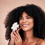 Hair care, face and thinking black woman with flower in studio isolated on a brown background. Floral cosmetics, natural beauty and happy female model holding flowers for salon treatment or wellness.