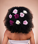 Hair care, back and beauty of black woman with flowers in studio isolated on a brown background. Curly hairstyle, floral cosmetics and female model with salon treatment for organic growth and texture