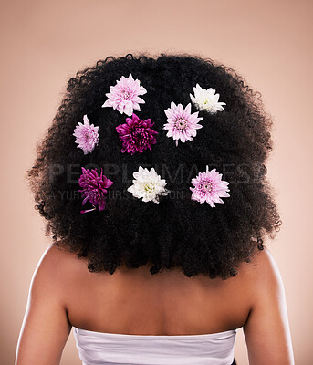 Buy stock photo Hair care, back and beauty of black woman with flowers in studio isolated on a brown background. Sustainability, floral cosmetics and female model with salon treatment for natural growth or hairstyle