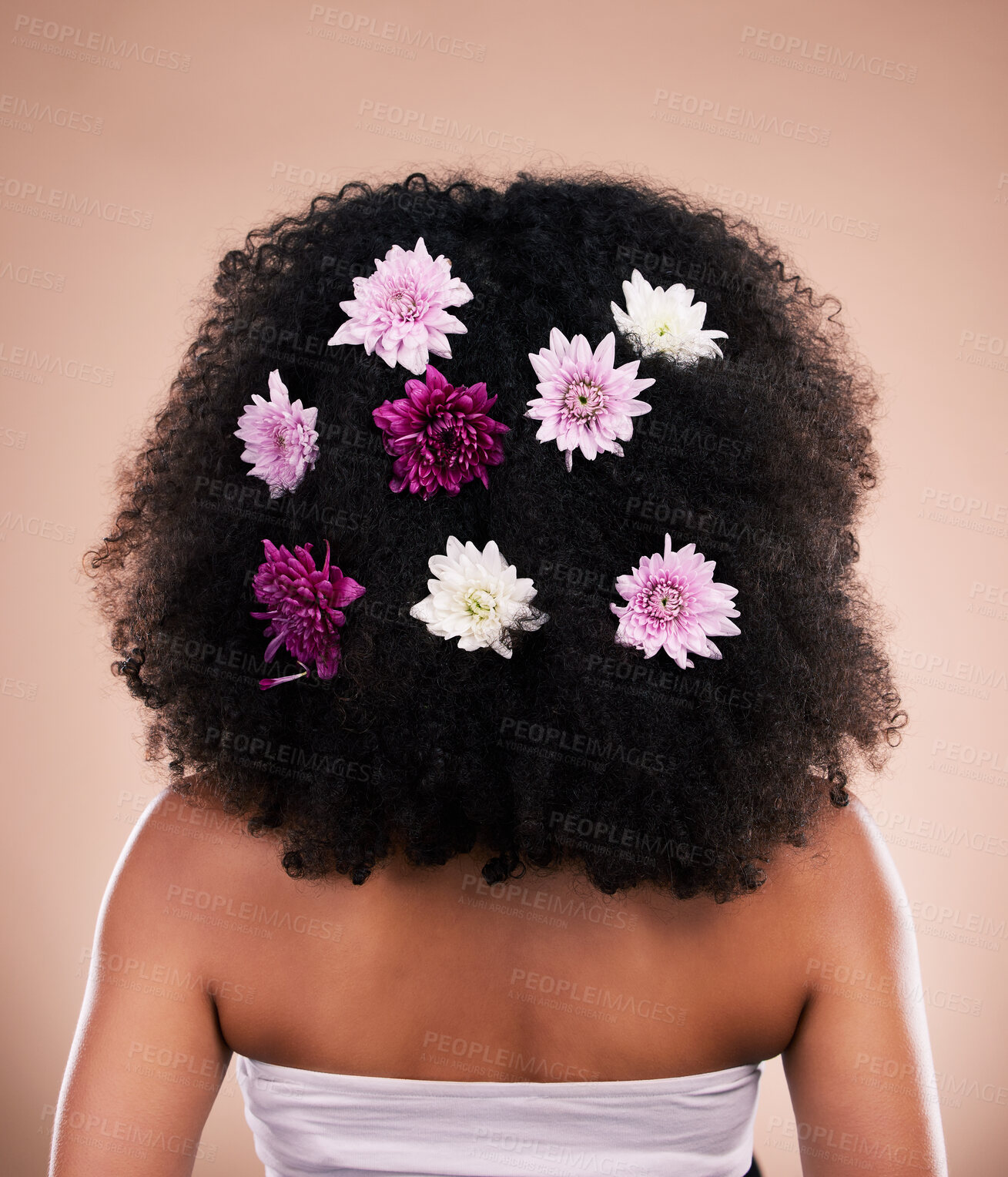 Buy stock photo Hair care, back and beauty of black woman with flowers in studio isolated on a brown background. Sustainability, floral cosmetics and female model with salon treatment for natural growth or hairstyle