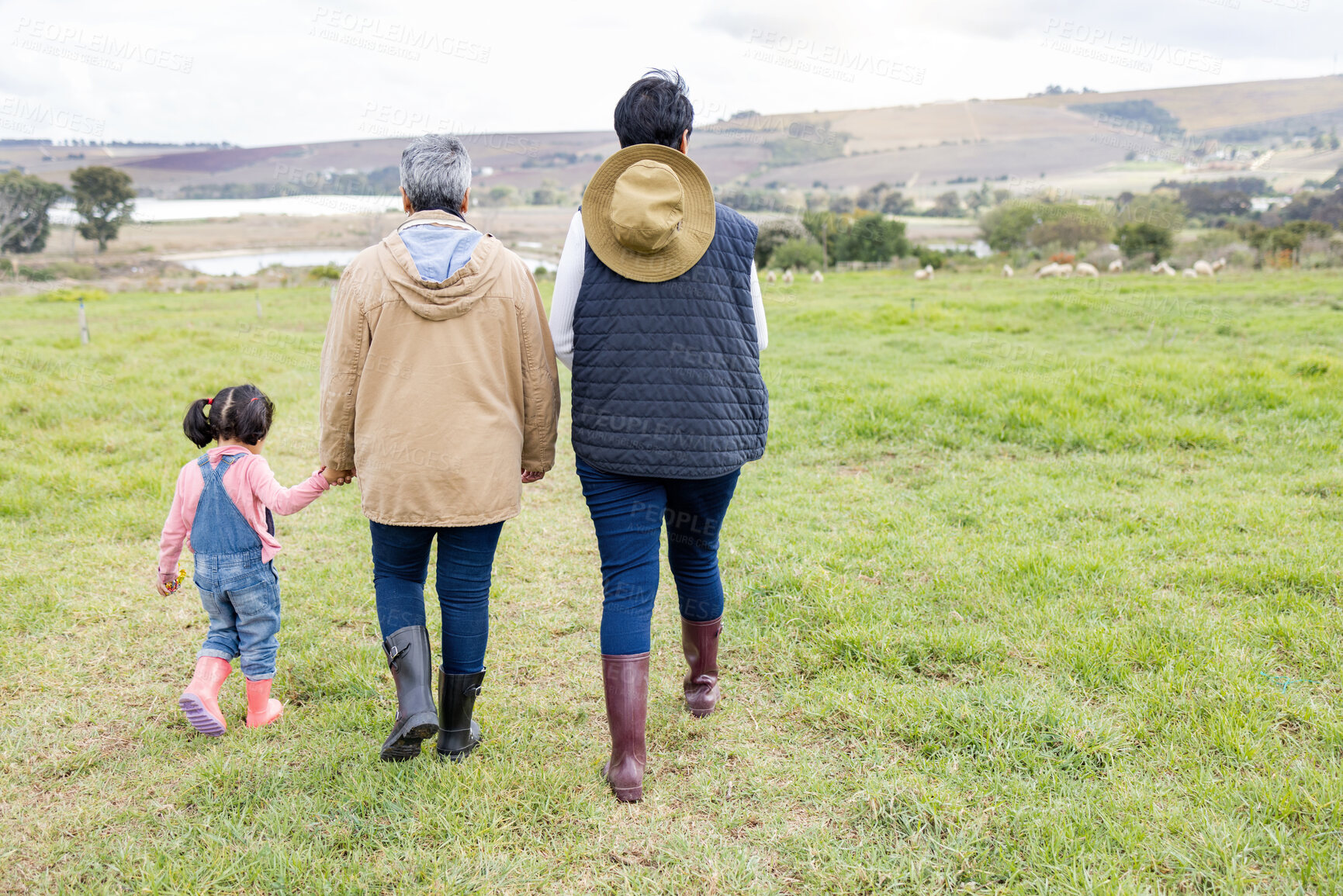 Buy stock photo Farming family, field in countryside with people walking on farm back view, green and sustainability with agro. Women, girl and fresh air, agriculture and farmer outdoor, holding hands and eco