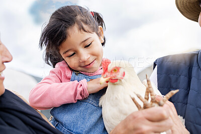 Farm, agriculture and girl and chicken in countryside for farming, livestock and agro. Sustainability, family and child with grandparents and bird for protein, animal produce and eco friendly ranch