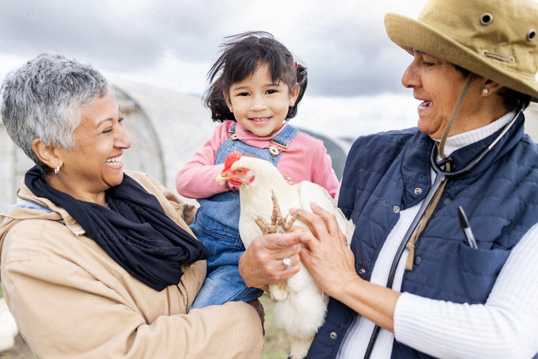 Buy stock photo Agriculture, farm and grandparents with girl and chicken for farming, veterinary and agro industry. Sustainability, countryside and happy child with family for protein, animal produce and livestock