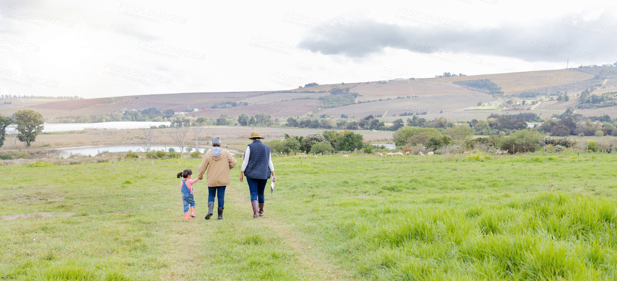 Buy stock photo Agriculture, field in countryside with family walking on farm and back view, green and sustainability with agro. Fresh air, farming and farmer with people outdoor, holding hands and environment