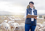 Portrait, pig or veterinarian writing on farm with animals, livestock wellness or agriculture checklist. Smile, face or senior happy woman working to protect pigs healthcare for barn sustainability