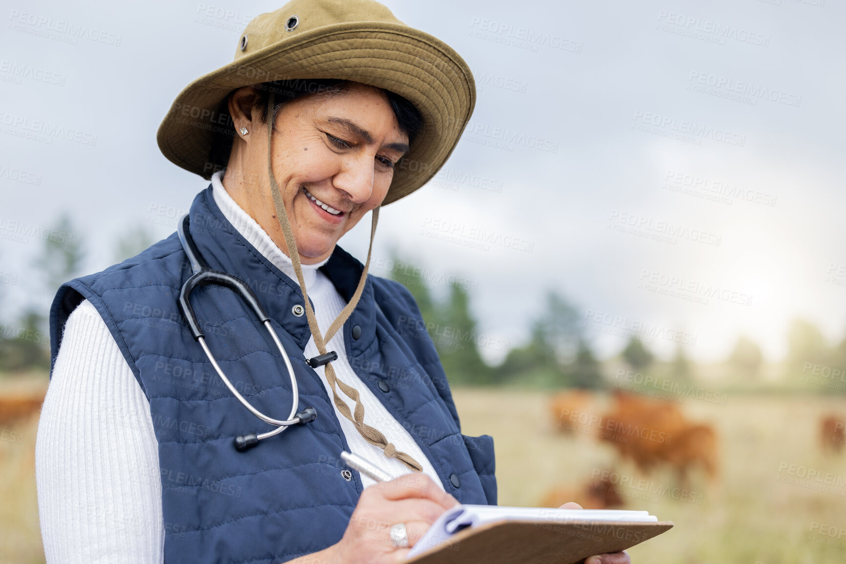 Buy stock photo Farm, veterinary and woman with clipboard for animal inspection, checklist and growth wellness. Agriculture, healthcare and senior vet writing results in countryside, cattle farming and cow livestock