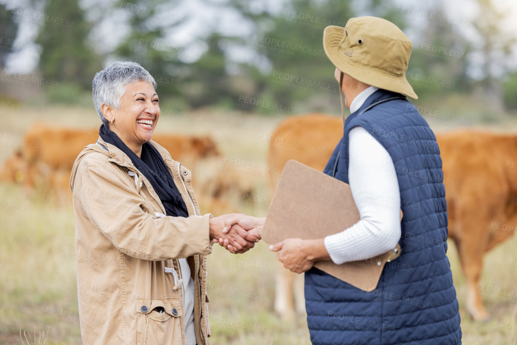 Buy stock photo Farm, handshake and teamwork with a woman in agriculture saying thank you to a colleague for sustainability. Farming, shaking hands and collaboration with a cattle farmer women in partnership