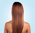 Back, hair care and beauty of black woman in studio isolated on a blue background. Hairstyle, keratin cosmetics and aesthetics of female model with salon treatment for growth, texture and balayage.