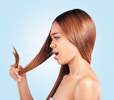 Buy stock photo Hair, problem and woman with hair loss in studio for beauty, grooming and haircut on blue background. Damaged, haircare and girl model worried, unhappy or upset with keratin results while isolated
