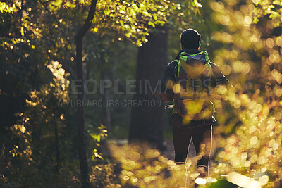 Buy stock photo Hiker, backpacking and hiking in nature forest, trekking woods or trees for adventure, relax workout or fitness exercise. Behind man, walking or person in environment, healthcare or morning wellness