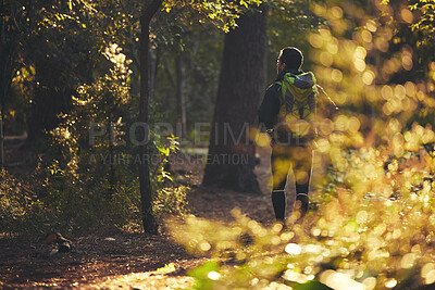 Buy stock photo Person, backpacking and hiking in nature forest, trekking woods or trees for adventure, relax workout or fitness exercise. Behind man, walking or hiker in environment, healthcare or morning wellness