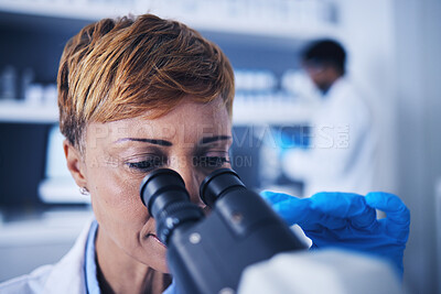 Buy stock photo Science, research and woman scientist looking in a microscope to examine for experiment in a lab or laboratory. Doctor, medical and female technician doing sample analysis  for biotechnology