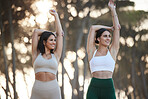 Fitness, stretching or happy people in nature in yoga exercise workout or arms training in healthy lifestyle. Athlete girls, women or friends exercising for wellness in body warm up together outdoors