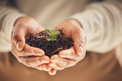 Buy stock photo Ecology, soil and plant with growth and hands, environment and nature for Earth Day awareness and agriculture. Growing, leaves and sustainability with person, fertilizer and farming with closeup