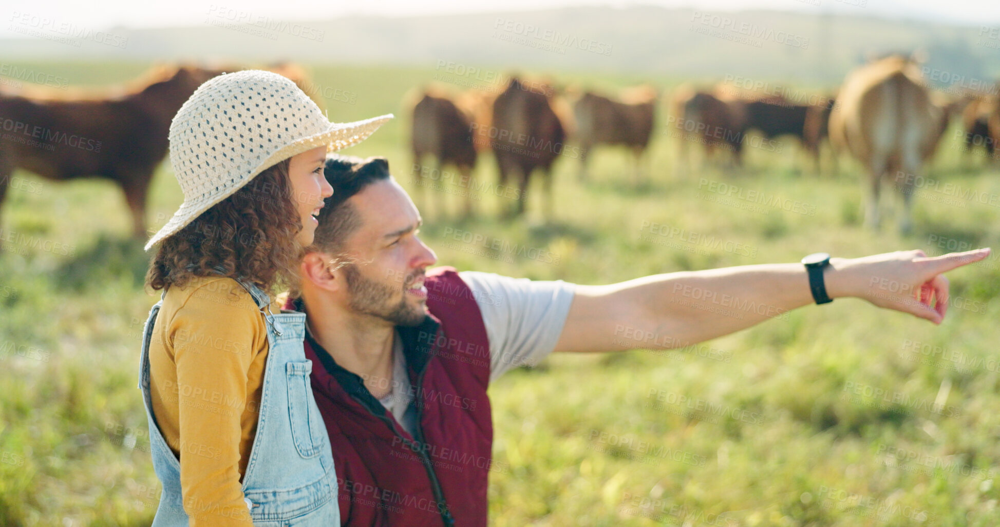 Buy stock photo Cows in field, dad pointing and child in countryside with agriculture, learning and happiness in nature together. Agro family farm, small business and father teaching girl, cattle and view on grass.