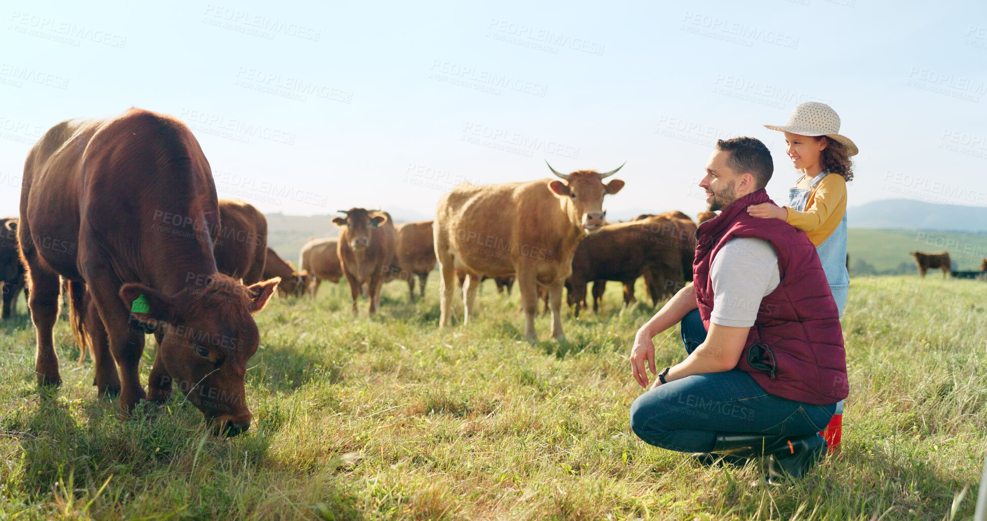 Buy stock photo Father, child and cow on field in countryside with agriculture, love and happiness in nature together. Agro farm, small business and dad with girl on grass with cattle, man and kid smile together.