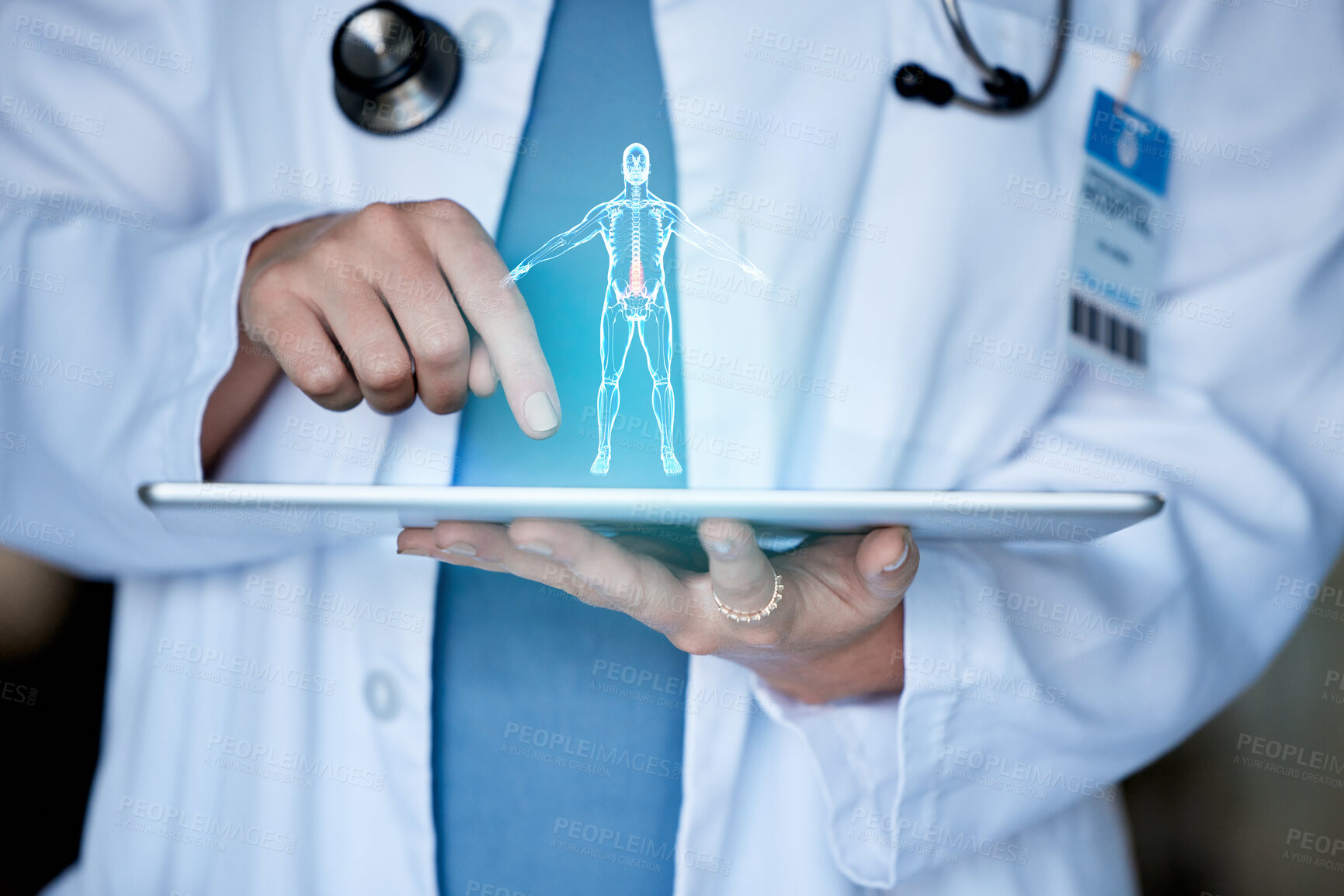 Buy stock photo Doctor hands, tablet and body hologram for 3d analysis, healthcare or future medical development. Medic, holographic tech or model of anatomy research in clinic office for innovation with digital ux