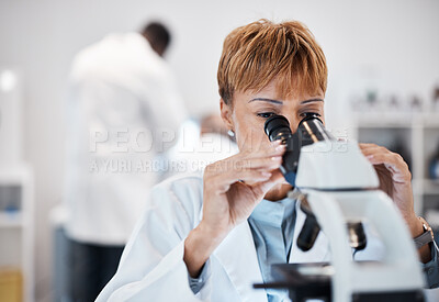 Buy stock photo Check, microscope and science with black woman in laboratory for experiment, medical and pharmacy. Healthcare, medicine and results with expert looking for pathology, test and sample analysis 