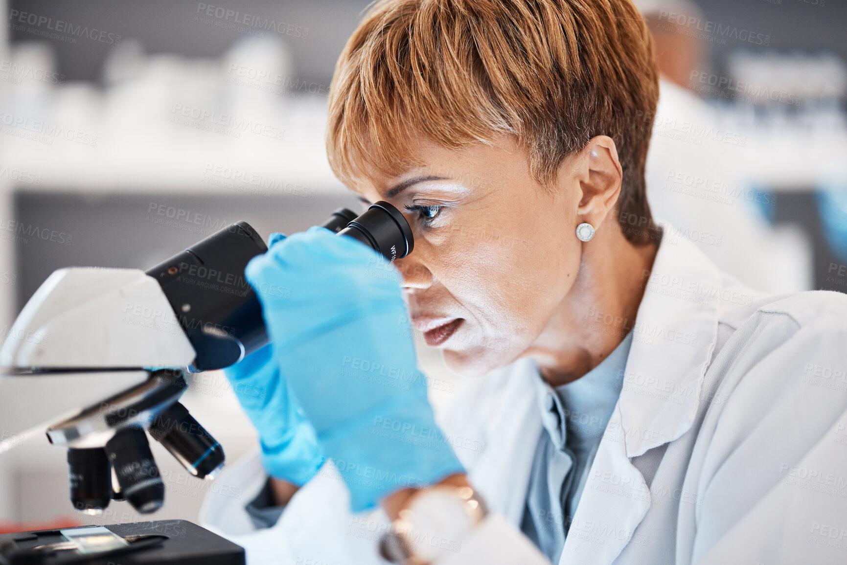 Buy stock photo Biotechnology, microscope and science with black woman in laboratory for experiment, medical and pharmacy. Healthcare, medicine and results with expert looking for pathology, test or sample analysis 