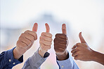 Thumbs up, closeup and group of people support, thank you and diversity hands sign for solidarity vote. Yes, like or winning team or winner business employees, teamwork agreement and well done emoji