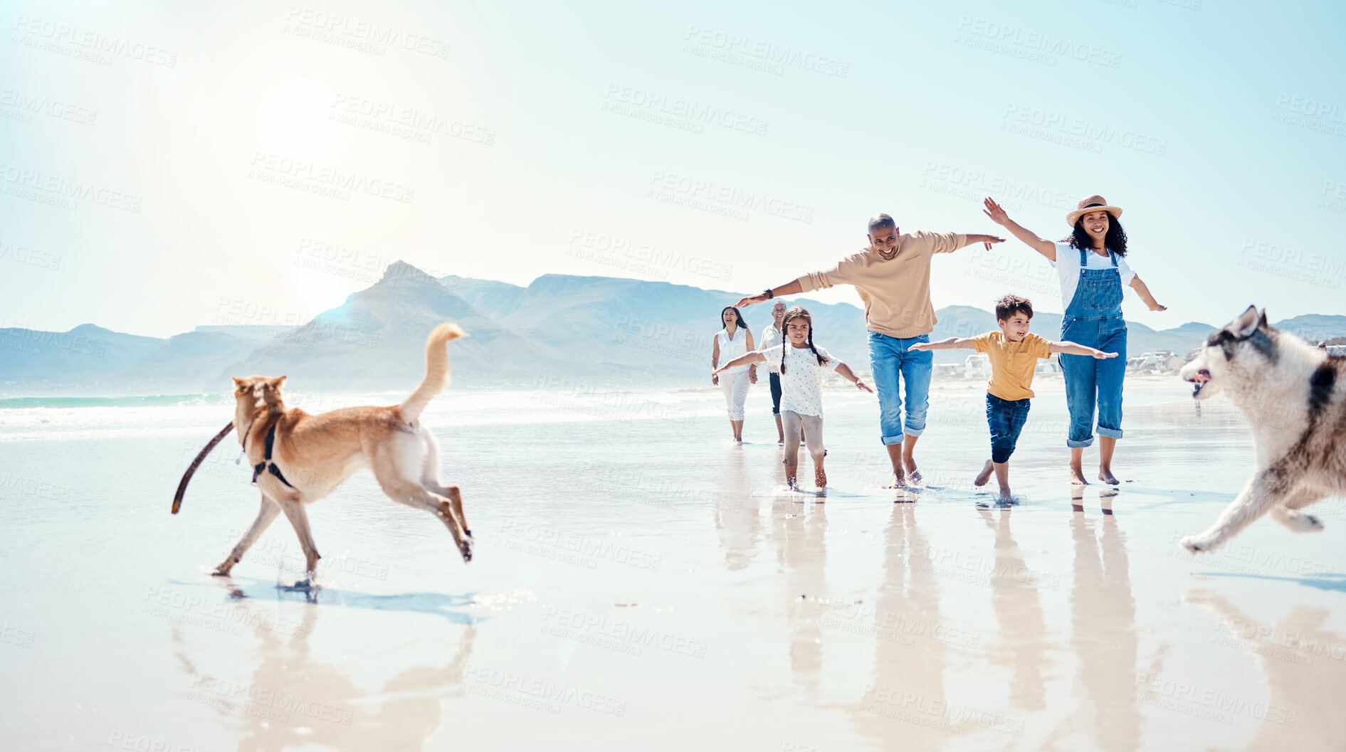 Buy stock photo Family, beach and parents with children and dogs for bonding, quality time and adventure together. Travel, pets and happy mom, dad and kids enjoy summer holiday, vacation and relax on weekend by sea
